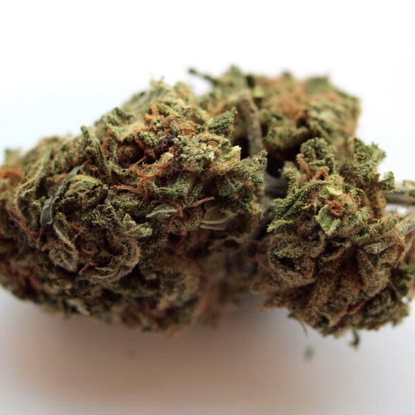 In House Genetics Banana OG Cannabis Seeds