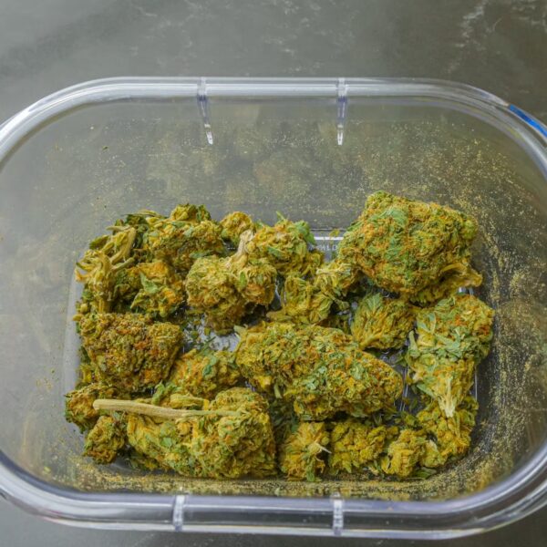 Grounded Genetics Outdoor Mix Cannabis Seeds