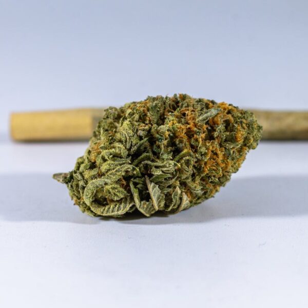Green House Seed Co. Super Silver Haze Cannabis Seeds